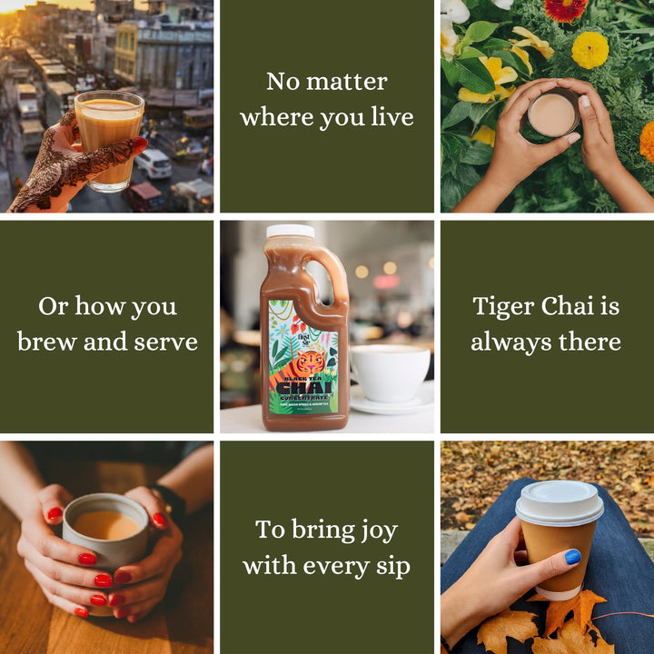 easy to use chai concentrate 1:1 for coffee shops and cafes