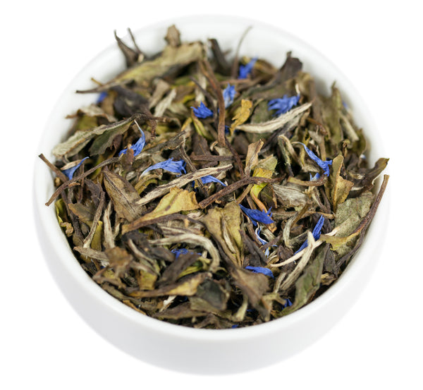 Blueberry White Tea | Loose leaf | Fruity | Refreshing | Rich